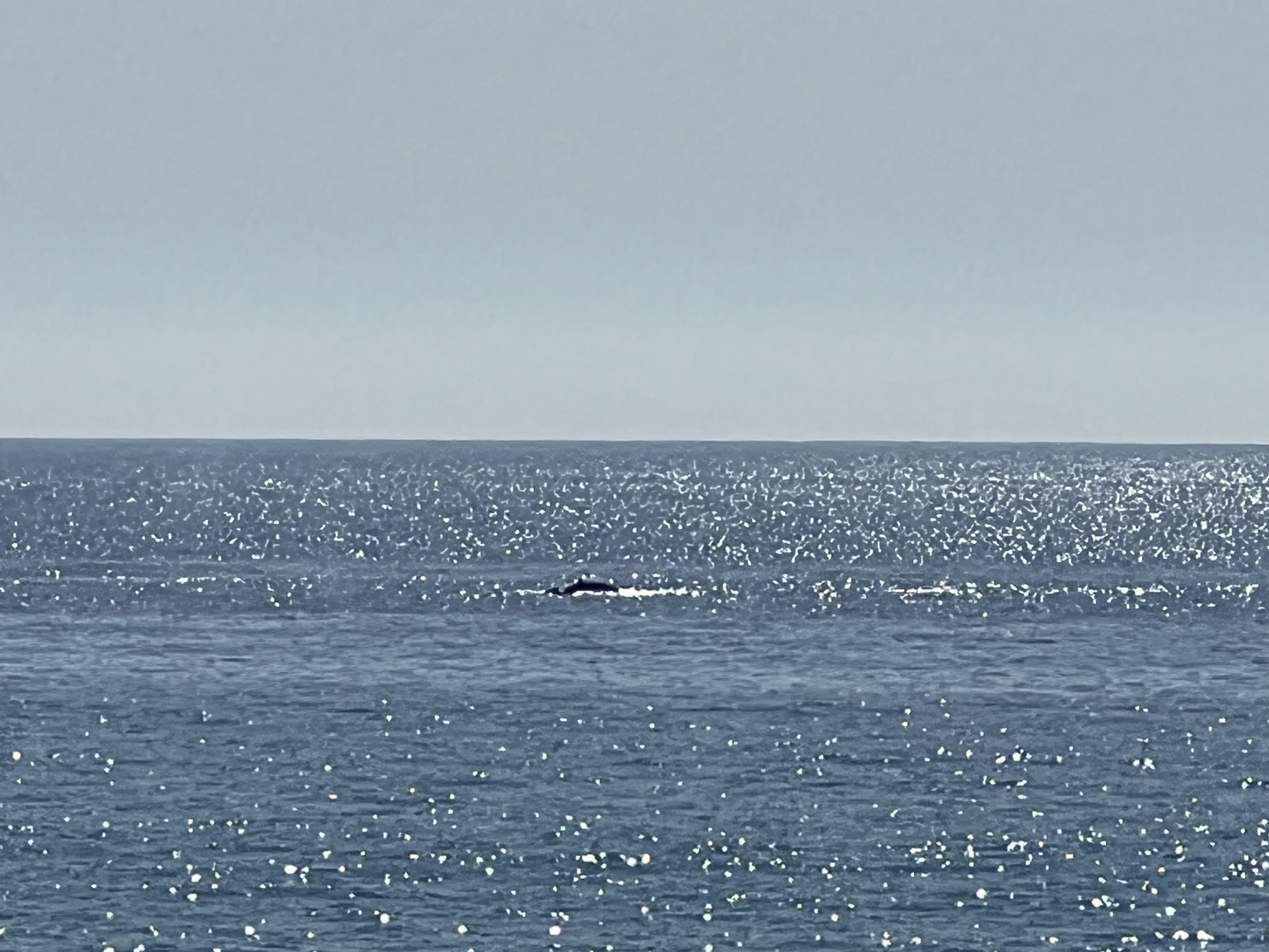 ./2024/13 - Cabo/IMG_4605.jpg